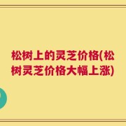 松树上的灵芝价格(松树灵芝价格大幅上涨)