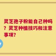 灵芝孢子粉能自己种吗？灵芝种植技巧和注意事项？