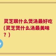灵芝跟什么煲汤最好吃(灵芝煲什么汤最美味？)