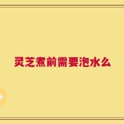 灵芝煮前需要泡水么
