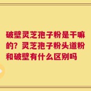 破壁灵芝孢子粉是干嘛的？灵芝孢子粉头道粉和破壁有什么区别吗