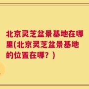 北京灵芝盆景基地在哪里(北京灵芝盆景基地的位置在哪？)