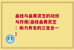 桑枝与桑黄灵芝的功效与作用(桑枝桑黄灵芝：助力养生的三宝合一)
