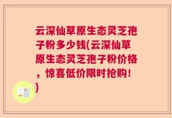 云深仙草原生态灵芝孢子粉多少钱(云深仙草原生态灵芝孢子粉价格，惊喜低价限时抢购！)