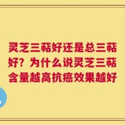 灵芝三萜好还是总三萜好？为什么说灵芝三萜含量越高抗癌效果越好