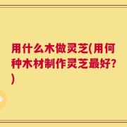 用什么木做灵芝(用何种木材制作灵芝最好？)