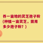 养一亩地的灵芝孢子粉(种植一亩灵芝，需用多少孢子粉？)