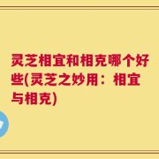 灵芝相宜和相克哪个好些(灵芝之妙用：相宜与相克)