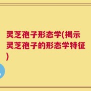 灵芝孢子形态学(揭示灵芝孢子的形态学特征)
