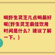 喝野生灵芝几点喝最好呢(野生灵芝最佳饮用时间是什么？建议了解一下。)