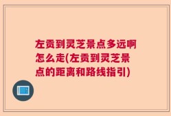 左贡到灵芝景点多远啊怎么走(左贡到灵芝景点的距离和路线指引)