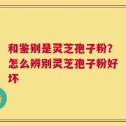和鉴别是灵芝孢子粉？怎么辨别灵芝孢子粉好坏