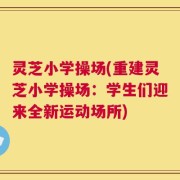 灵芝小学操场(重建灵芝小学操场：学生们迎来全新运动场所)