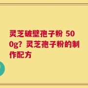 灵芝破壁孢子粉 500g？灵芝孢子粉的制作配方