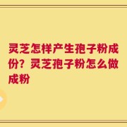 灵芝怎样产生孢子粉成份？灵芝孢子粉怎么做成粉