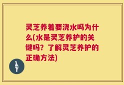 灵芝养着要浇水吗为什么(水是灵芝养护的关键吗？了解灵芝养护的正确方法)