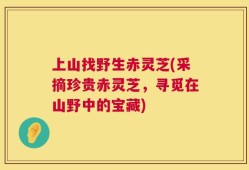 上山找野生赤灵芝(采摘珍贵赤灵芝，寻觅在山野中的宝藏)