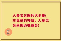 人参灵芝图片大全集(珍贵草药齐聚，人参灵芝呈现绝美图景)