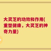 大灵芝的功效和作用(重塑健康，大灵芝的神奇力量)