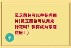 灵芝菌包可以种花吗图片(灵芝菌包可以用来种花吗？教你成为家庭花匠！)