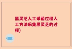 黑灵芝人工采菌过程人工方法采集黑灵芝的过程)