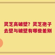 灵芝高破壁？灵芝孢子去壁与破壁有哪些差别