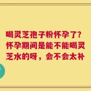 喝灵芝孢子粉怀孕了？怀孕期间是能不能喝灵芝水的呀，会不会太补