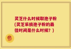 灵芝什么时候取孢子粉(灵芝采摘孢子粉的最佳时间是什么时候？)
