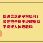 促进灵芝孢子粉吸收？灵芝孢子粉不经破壁就不能被人体吸收吗