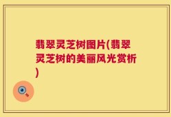 翡翠灵芝树图片(翡翠灵芝树的美丽风光赏析)