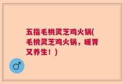 五指毛桃灵芝鸡火锅(毛桃灵芝鸡火锅，暖胃又养生！)
