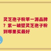灵芝孢子粉苹一源品牌？紫一破壁灵芝孢子粉到哪里买最好