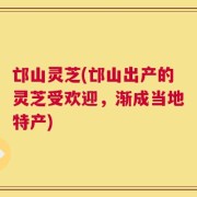 邙山灵芝(邙山出产的灵芝受欢迎，渐成当地特产)
