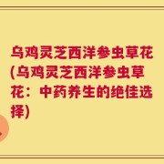 乌鸡灵芝西洋参虫草花(乌鸡灵芝西洋参虫草花：中药养生的绝佳选择)