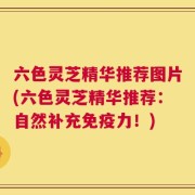 六色灵芝精华推荐图片(六色灵芝精华推荐：自然补充免疫力！)
