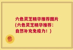 六色灵芝精华推荐图片(六色灵芝精华推荐：自然补充免疫力！)