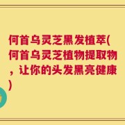 何首乌灵芝黑发植萃(何首乌灵芝植物提取物，让你的头发黑亮健康)