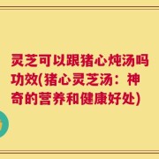 灵芝可以跟猪心炖汤吗功效(猪心灵芝汤：神奇的营养和健康好处)
