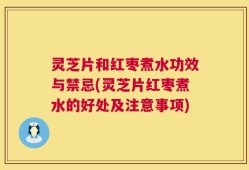 灵芝片和红枣煮水功效与禁忌(灵芝片红枣煮水的好处及注意事项)