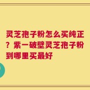 灵芝孢子粉怎么买纯正？紫一破壁灵芝孢子粉到哪里买最好