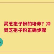 灵芝孢子粉的培养？冲灵芝孢子粉正确步骤