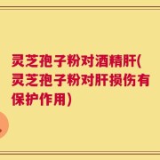 灵芝孢子粉对酒精肝(灵芝孢子粉对肝损伤有保护作用)
