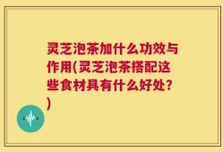 灵芝泡茶加什么功效与作用(灵芝泡茶搭配这些食材具有什么好处？)
