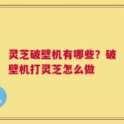 灵芝破壁机有哪些？破壁机打灵芝怎么做