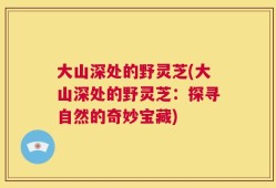 大山深处的野灵芝(大山深处的野灵芝：探寻自然的奇妙宝藏)