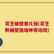 灵芝破壁是几倍(灵芝粉破壁倍增神奇功效)