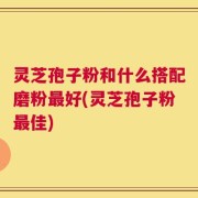 灵芝孢子粉和什么搭配磨粉最好(灵芝孢子粉最佳)
