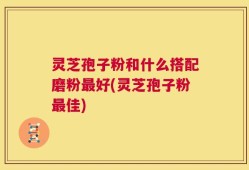 灵芝孢子粉和什么搭配磨粉最好(灵芝孢子粉最佳)