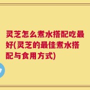 灵芝怎么煮水搭配吃最好(灵芝的最佳煮水搭配与食用方式)