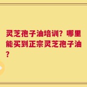 灵芝孢子油培训？哪里能买到正宗灵芝孢子油？